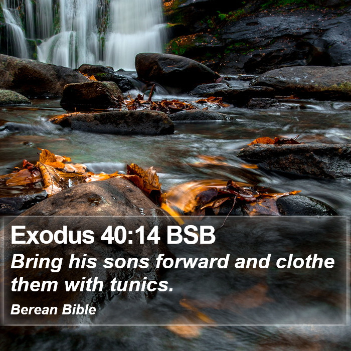 Exodus 40:14 BSB Bible Study