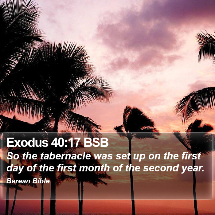 Exodus 40:17 BSB Bible Study