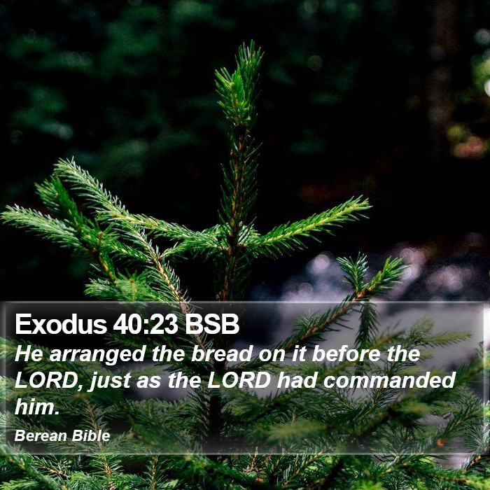 Exodus 40:23 BSB Bible Study