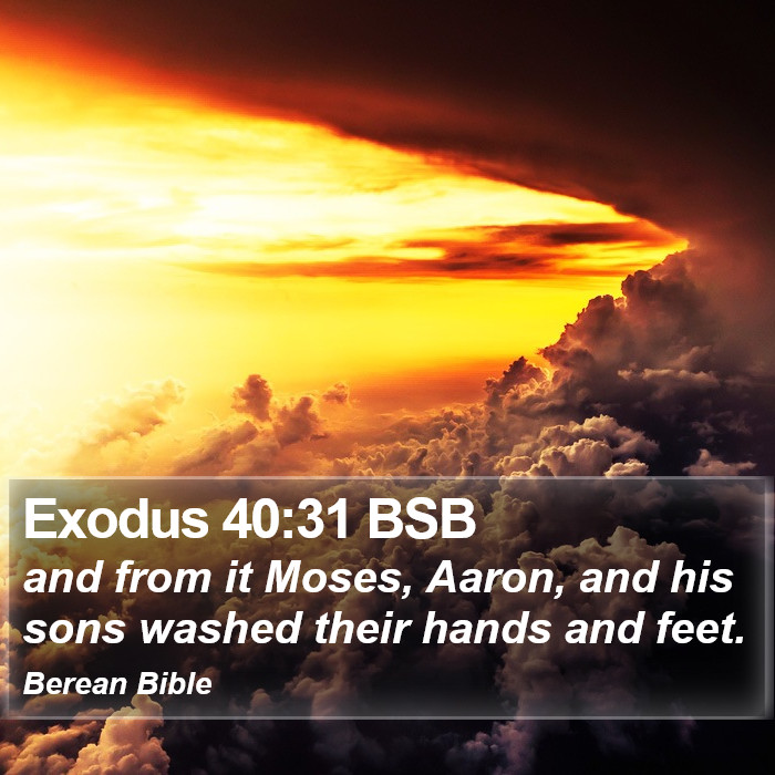 Exodus 40:31 BSB Bible Study