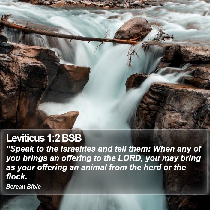 Leviticus 1:2 BSB Bible Study