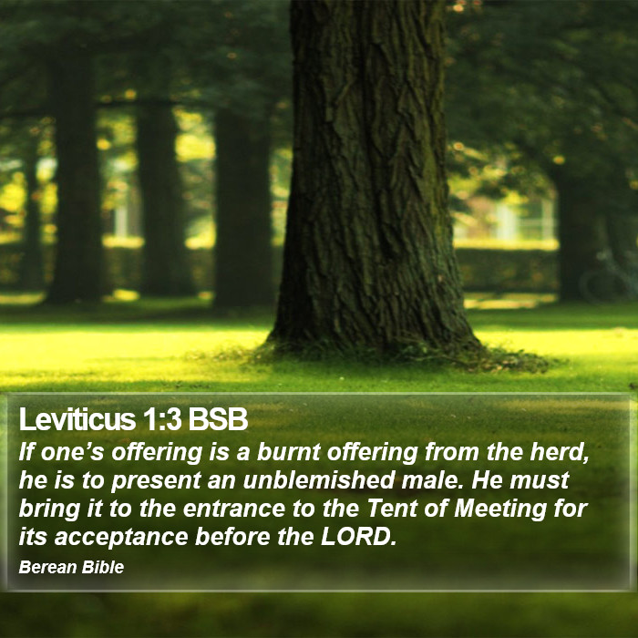 Leviticus 1:3 BSB Bible Study