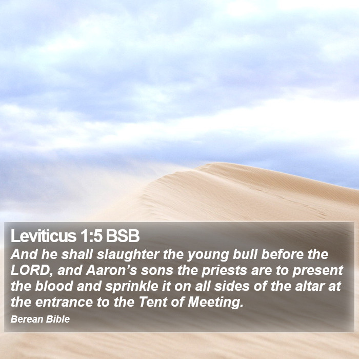 Leviticus 1:5 BSB Bible Study