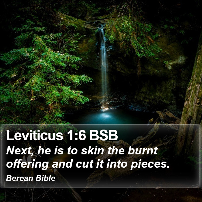 Leviticus 1:6 BSB Bible Study