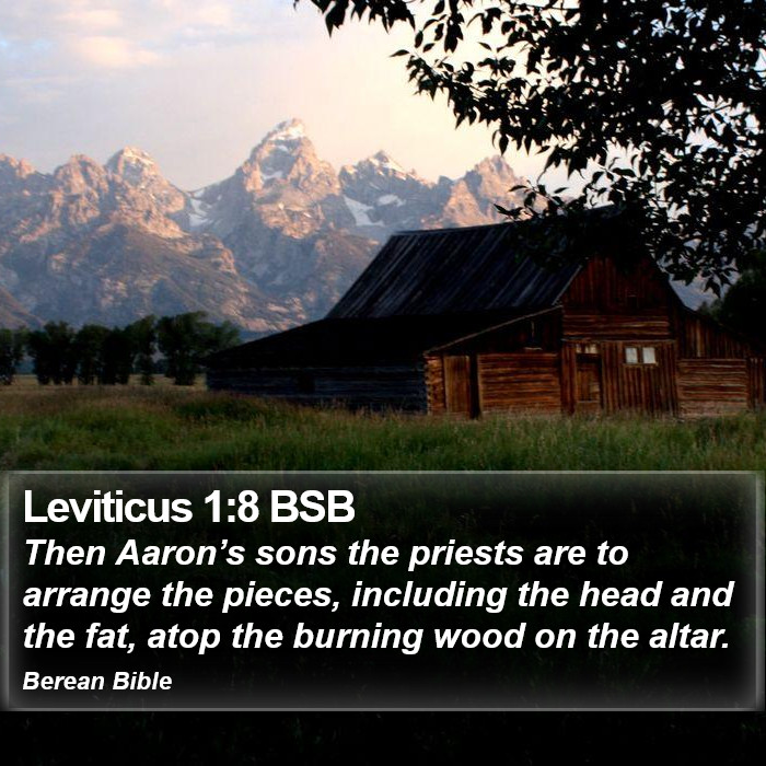 Leviticus 1:8 BSB Bible Study