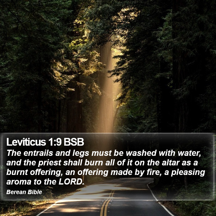 Leviticus 1:9 BSB Bible Study