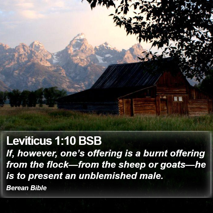 Leviticus 1:10 BSB Bible Study