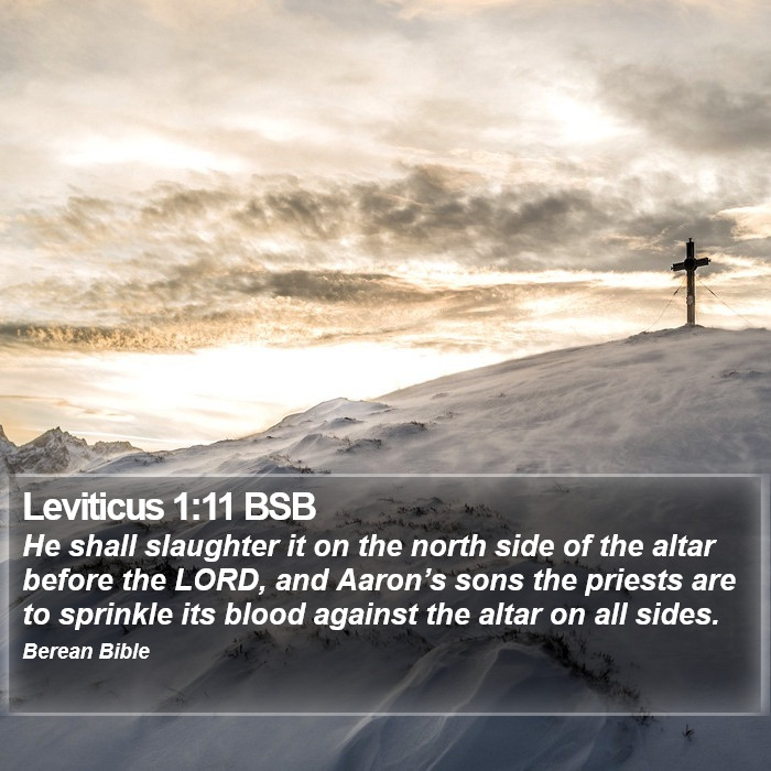 Leviticus 1:11 BSB Bible Study