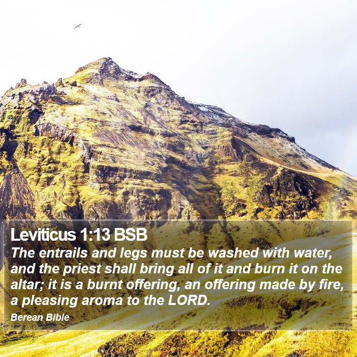 Leviticus 1:13 BSB Bible Study