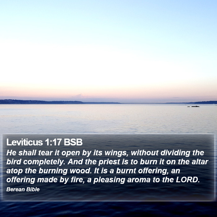 Leviticus 1:17 BSB Bible Study