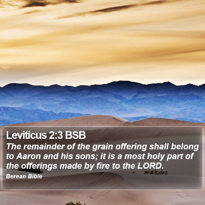 Leviticus 2:3 BSB Bible Study