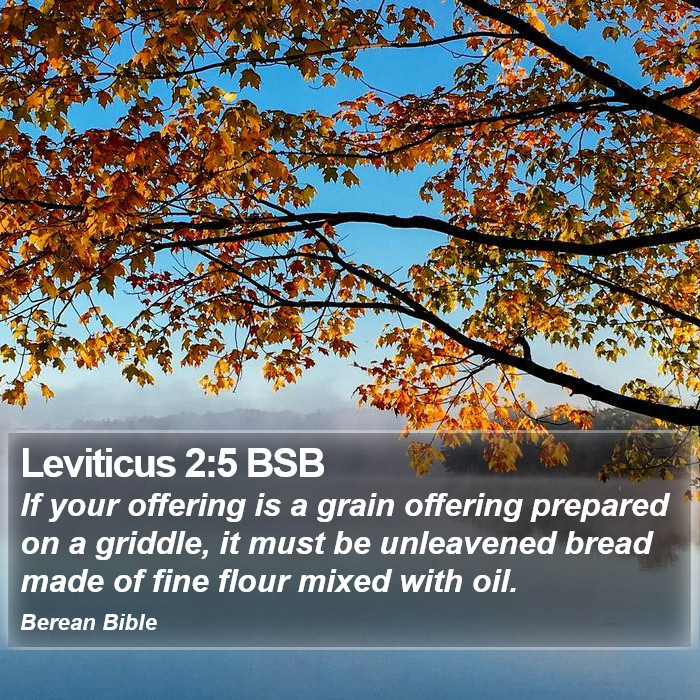 Leviticus 2:5 BSB Bible Study