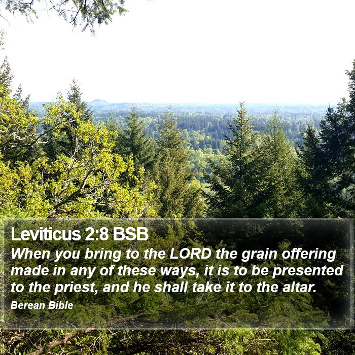 Leviticus 2:8 BSB Bible Study