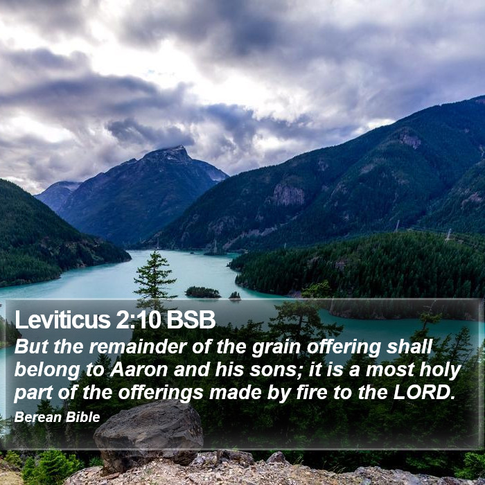 Leviticus 2:10 BSB Bible Study