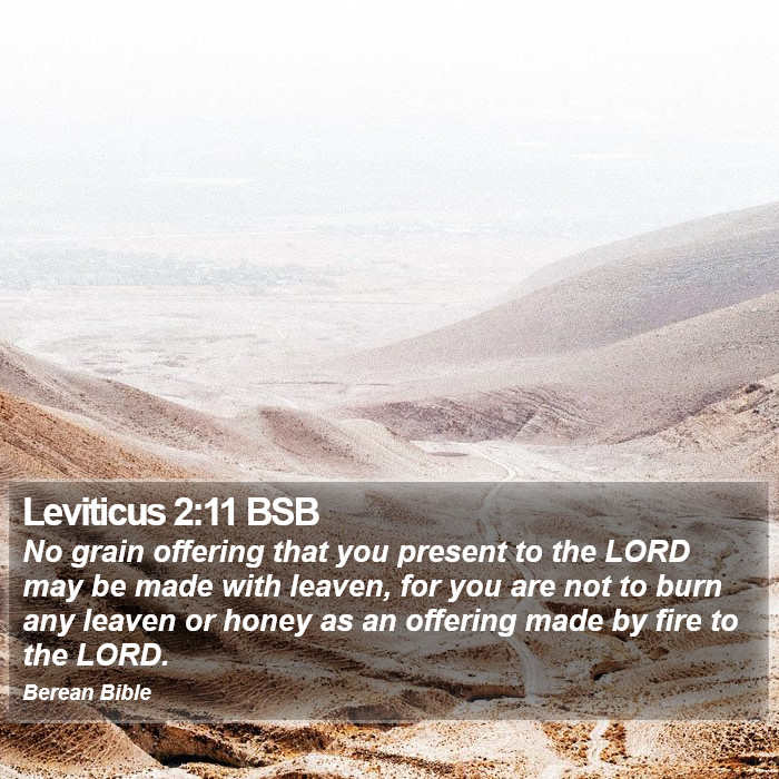 Leviticus 2:11 BSB Bible Study