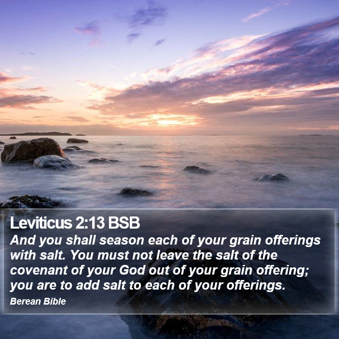 Leviticus 2:13 BSB Bible Study