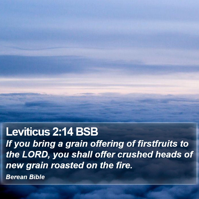 Leviticus 2:14 BSB Bible Study