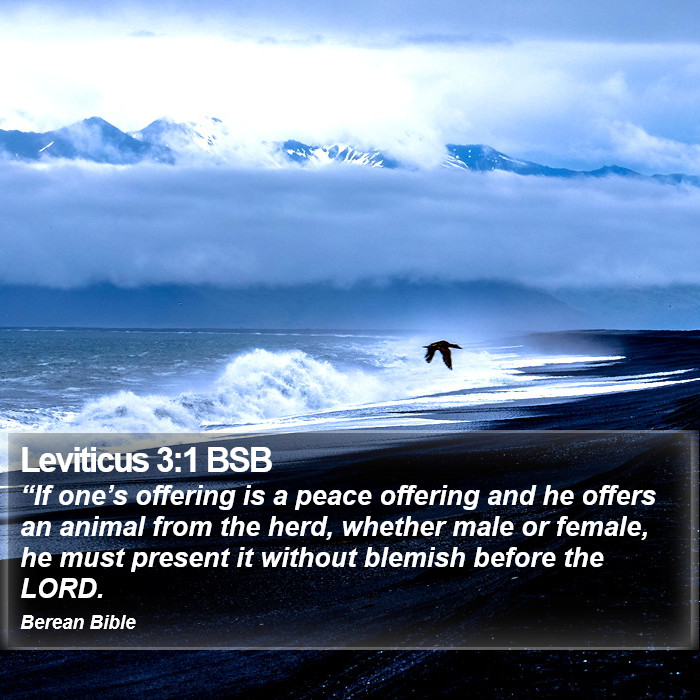 Leviticus 3:1 BSB Bible Study