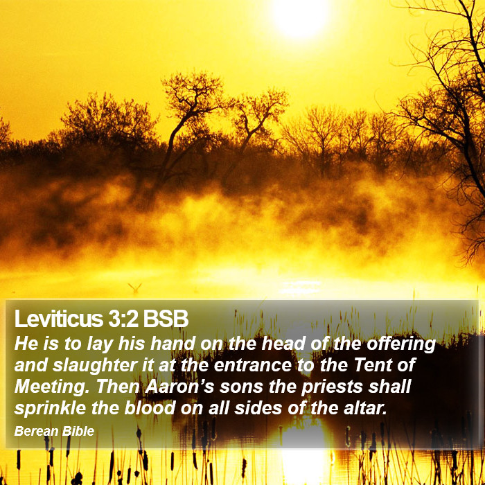 Leviticus 3:2 BSB Bible Study