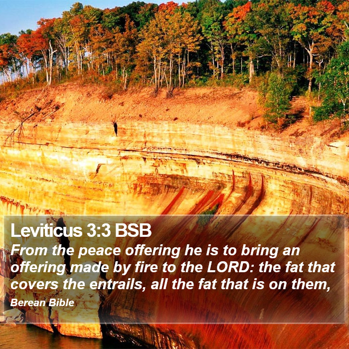 Leviticus 3:3 BSB Bible Study