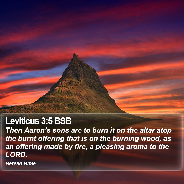 Leviticus 3:5 BSB Bible Study