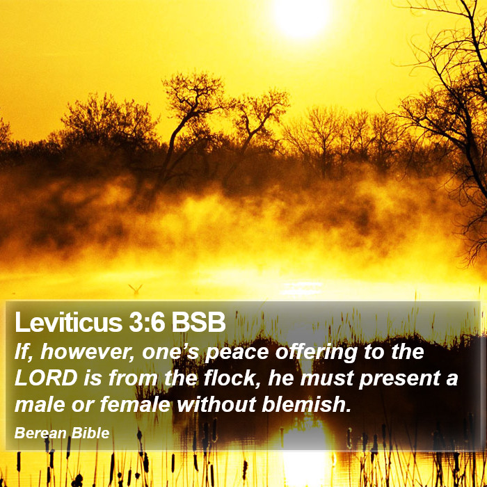 Leviticus 3:6 BSB Bible Study