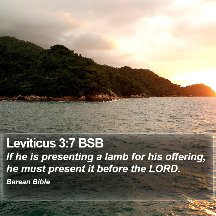 Leviticus 3:7 BSB Bible Study