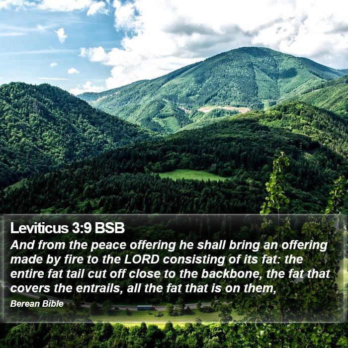 Leviticus 3:9 BSB Bible Study