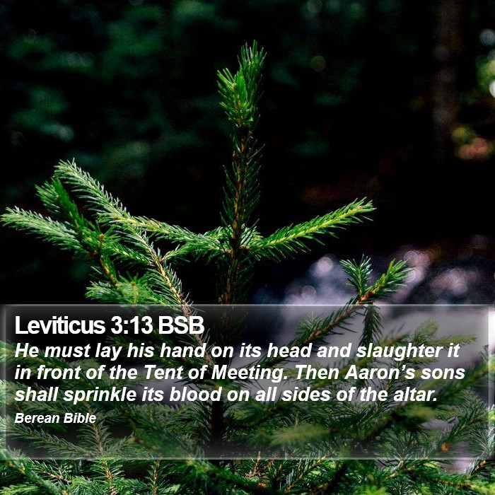 Leviticus 3:13 BSB Bible Study