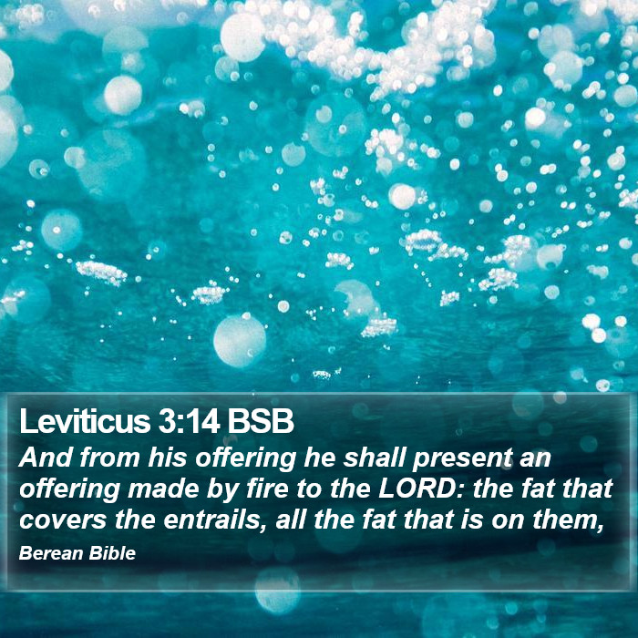 Leviticus 3:14 BSB Bible Study