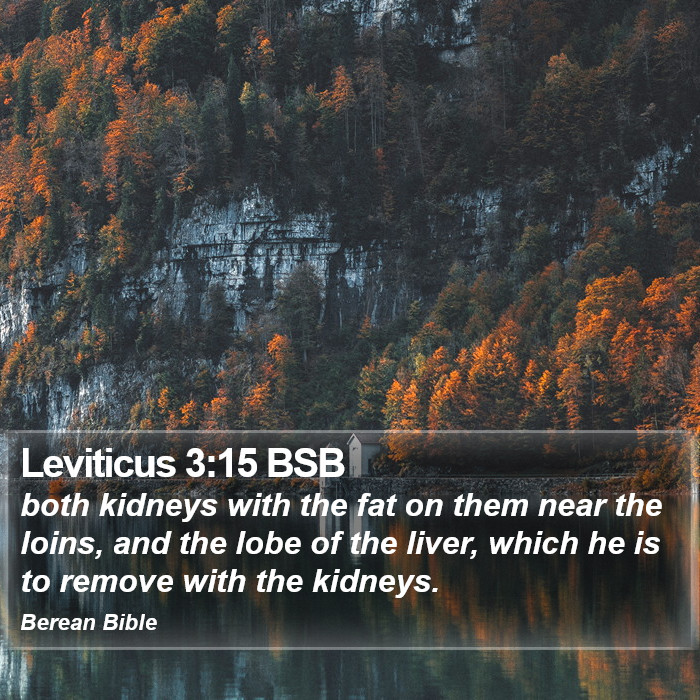 Leviticus 3:15 BSB Bible Study