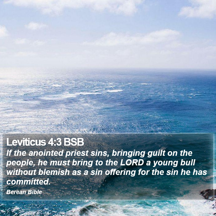 Leviticus 4:3 BSB Bible Study