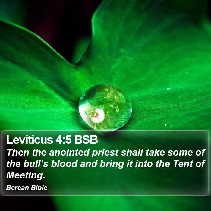 Leviticus 4:5 BSB Bible Study