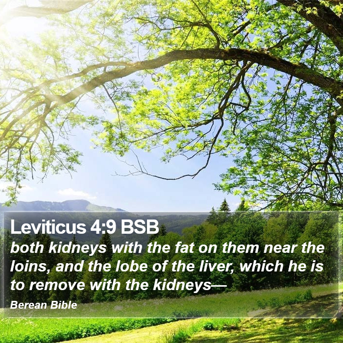 Leviticus 4:9 BSB Bible Study