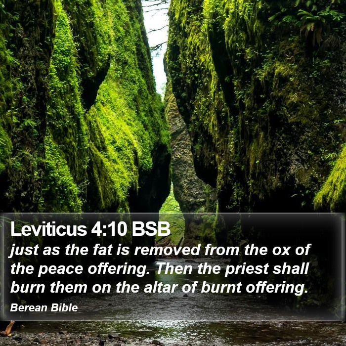 Leviticus 4:10 BSB Bible Study