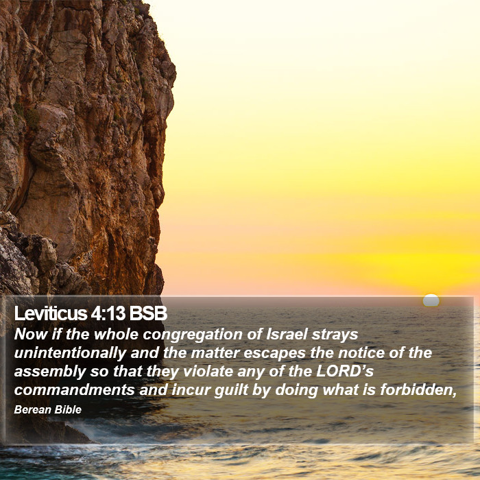 Leviticus 4:13 BSB Bible Study