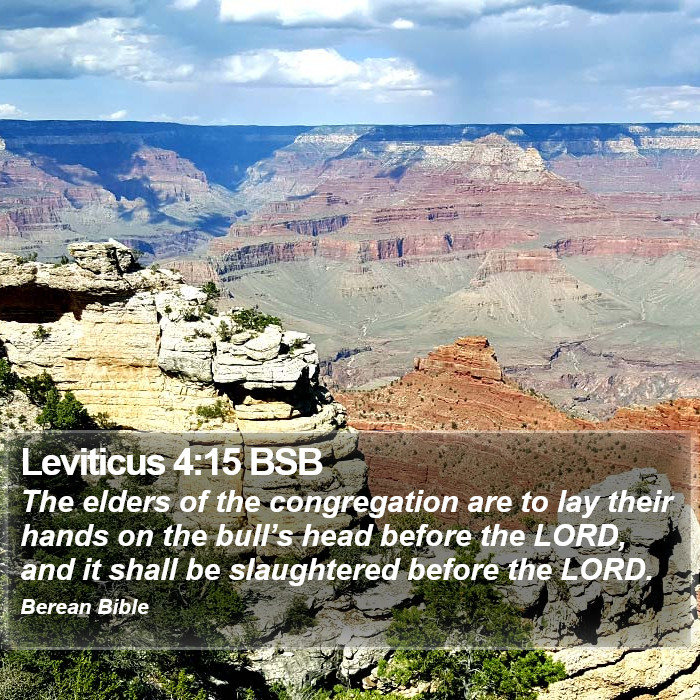 Leviticus 4:15 BSB Bible Study