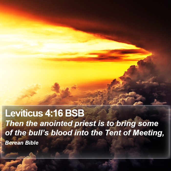 Leviticus 4:16 BSB Bible Study