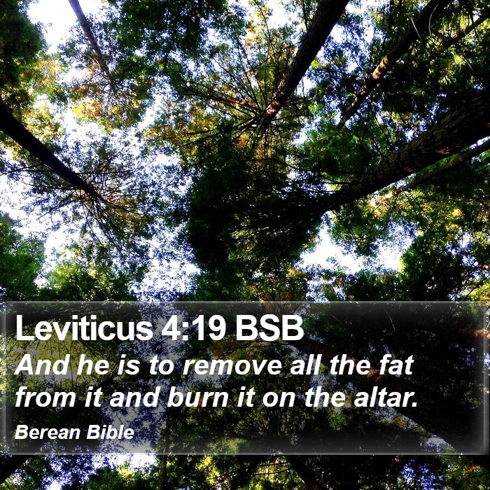 Leviticus 4:19 BSB Bible Study