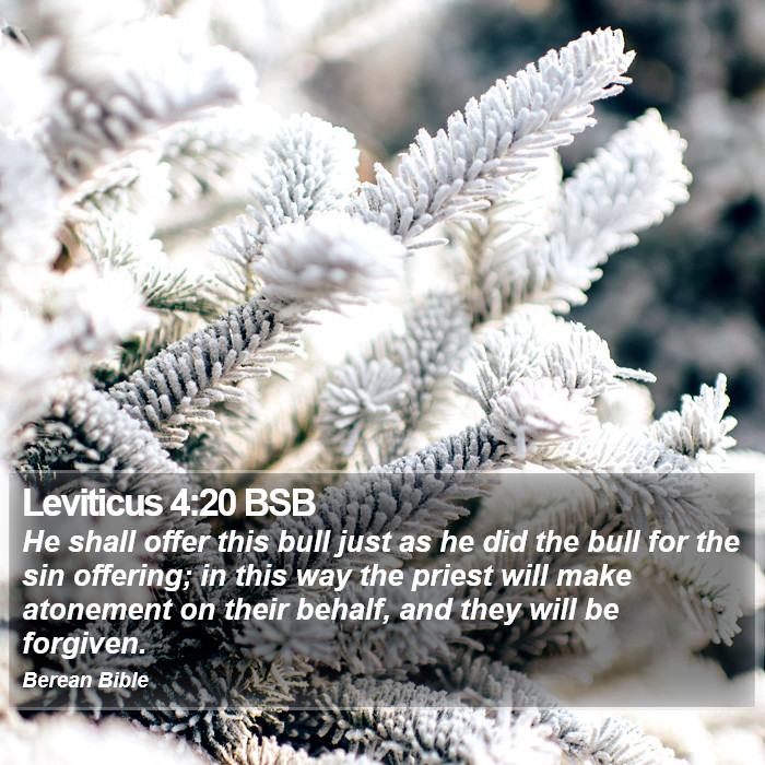 Leviticus 4:20 BSB Bible Study