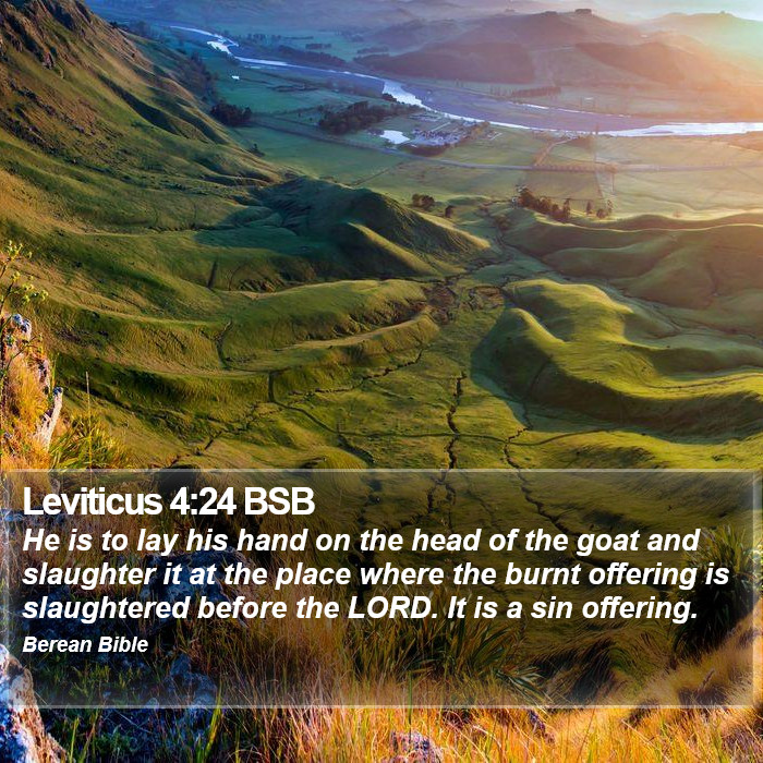 Leviticus 4:24 BSB Bible Study