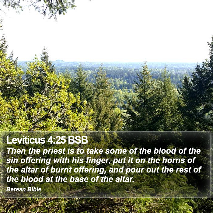 Leviticus 4:25 BSB Bible Study