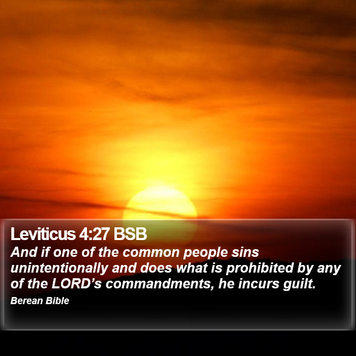 Leviticus 4:27 BSB Bible Study