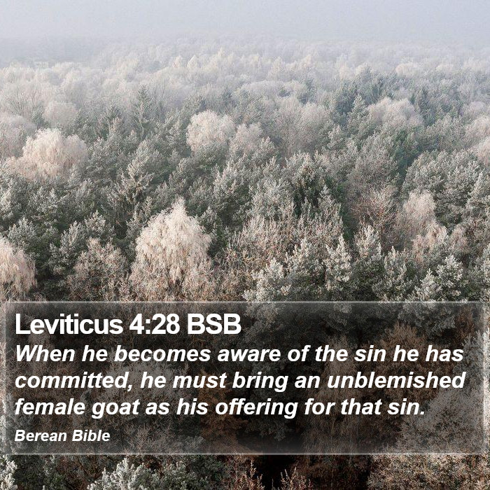 Leviticus 4:28 BSB Bible Study