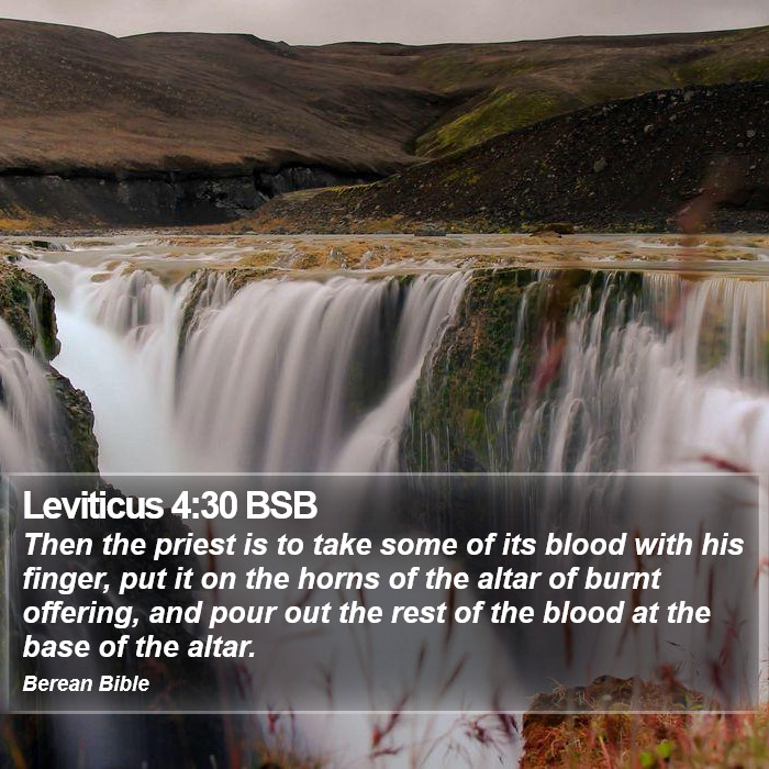 Leviticus 4:30 BSB Bible Study