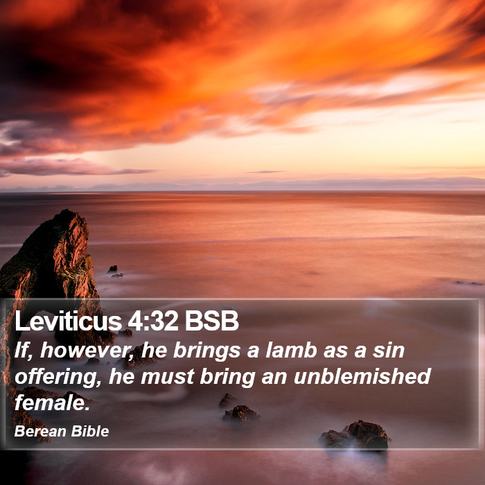 Leviticus 4:32 BSB Bible Study