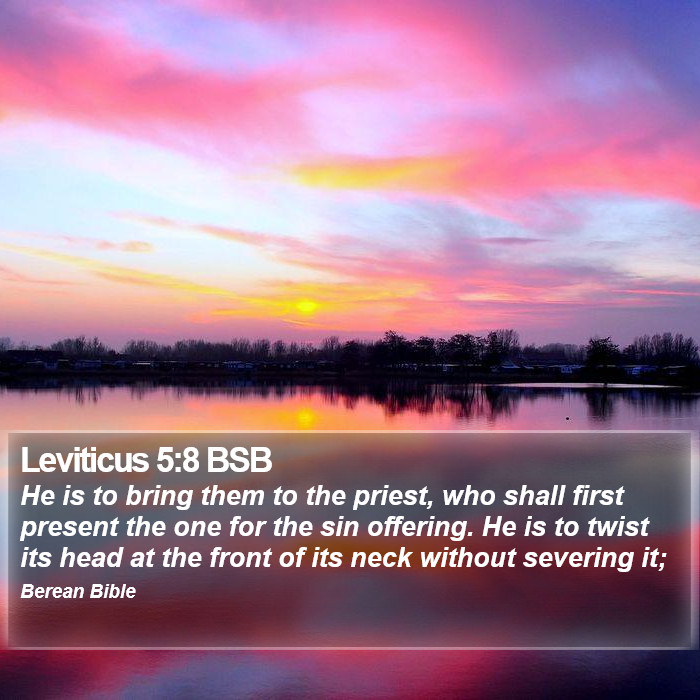 Leviticus 5:8 BSB Bible Study