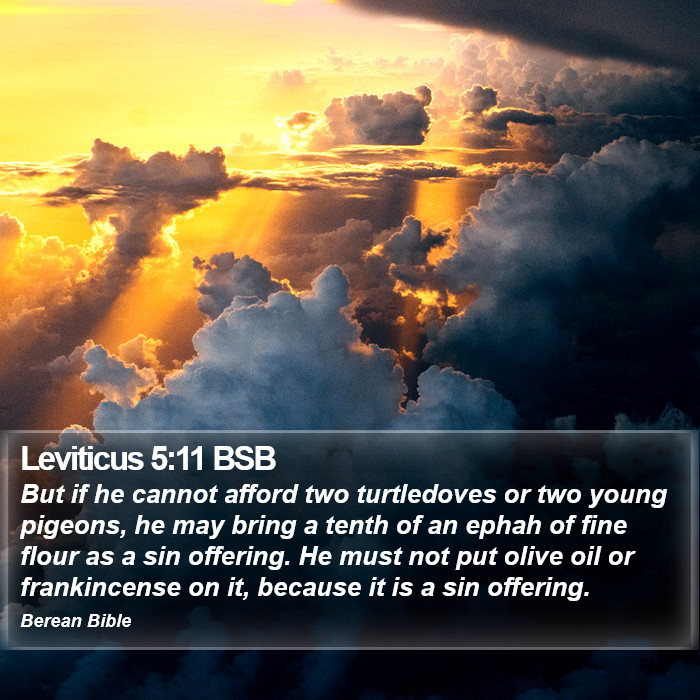 Leviticus 5:11 BSB Bible Study