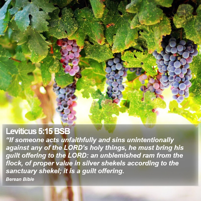 Leviticus 5:15 BSB Bible Study