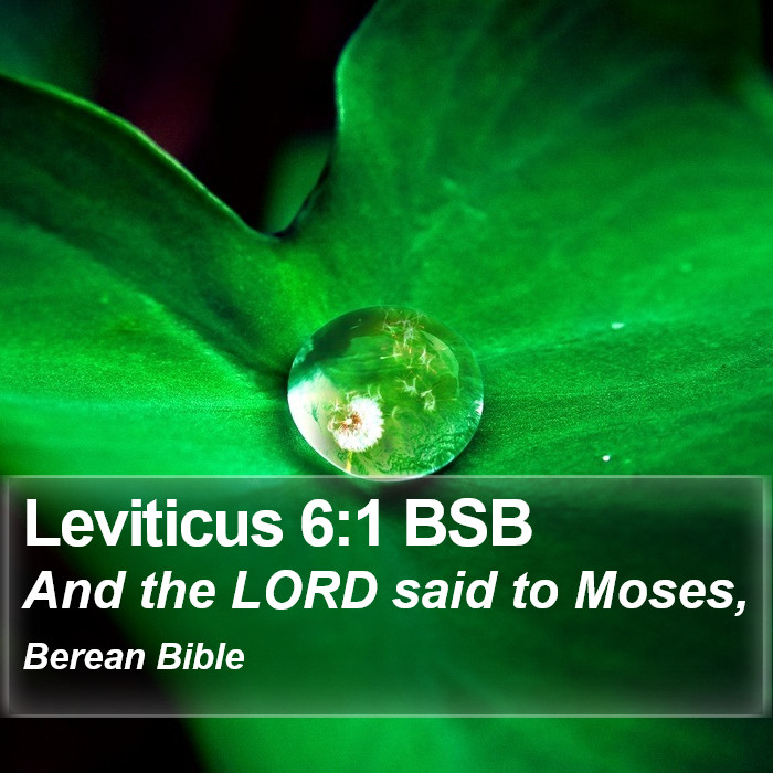 Leviticus 6:1 BSB Bible Study